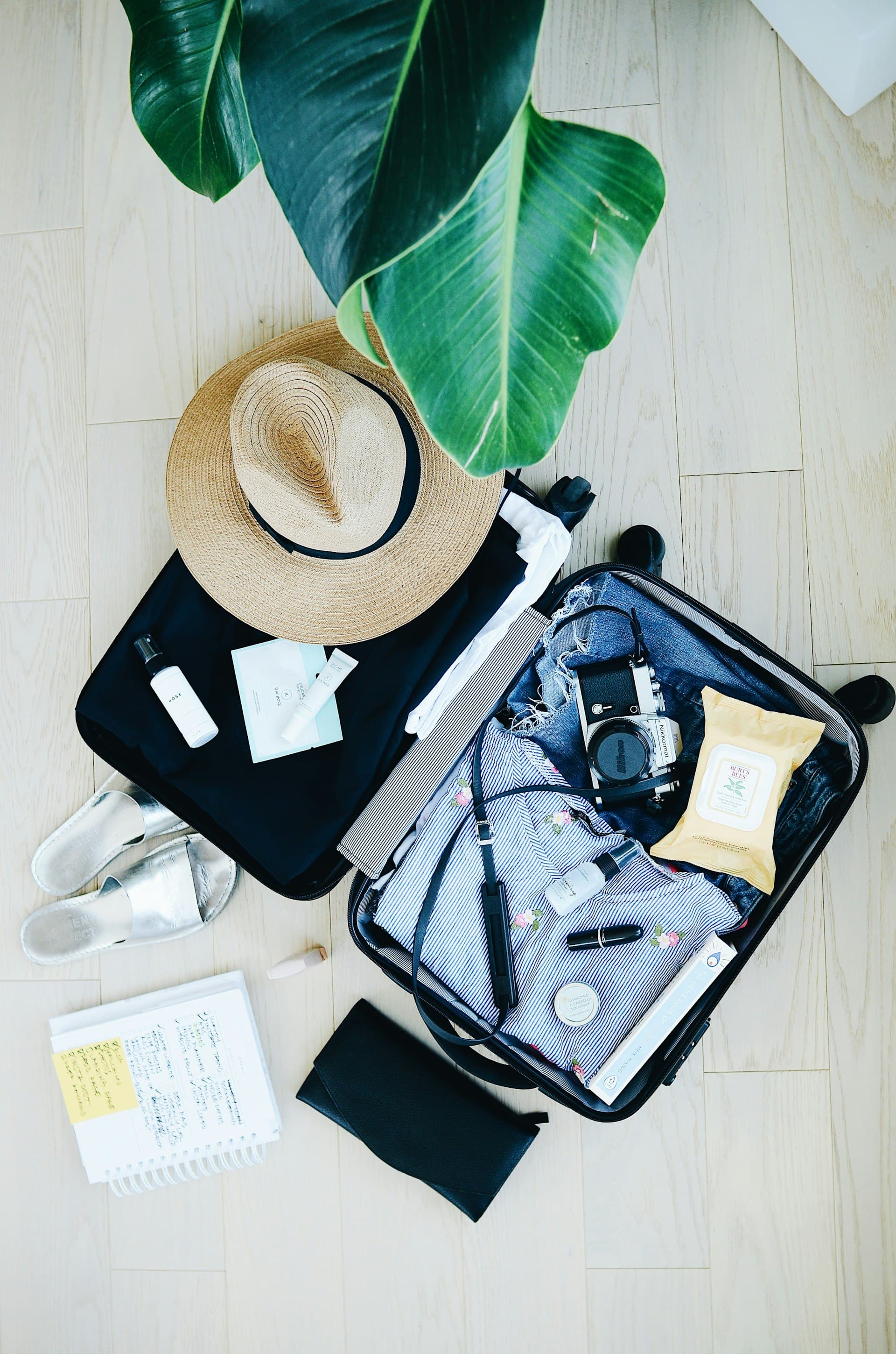 Aer Lingus baggage allowance, by fare